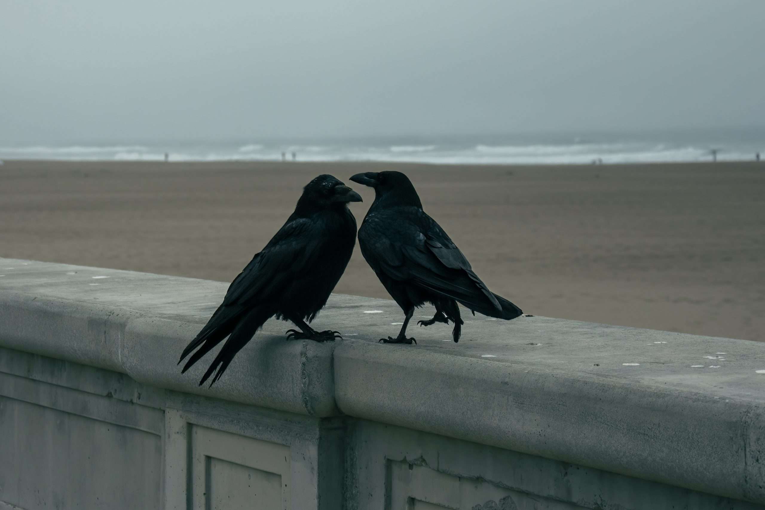 narramerica la dirompente potenza dell’Oceano a Ocean Beach