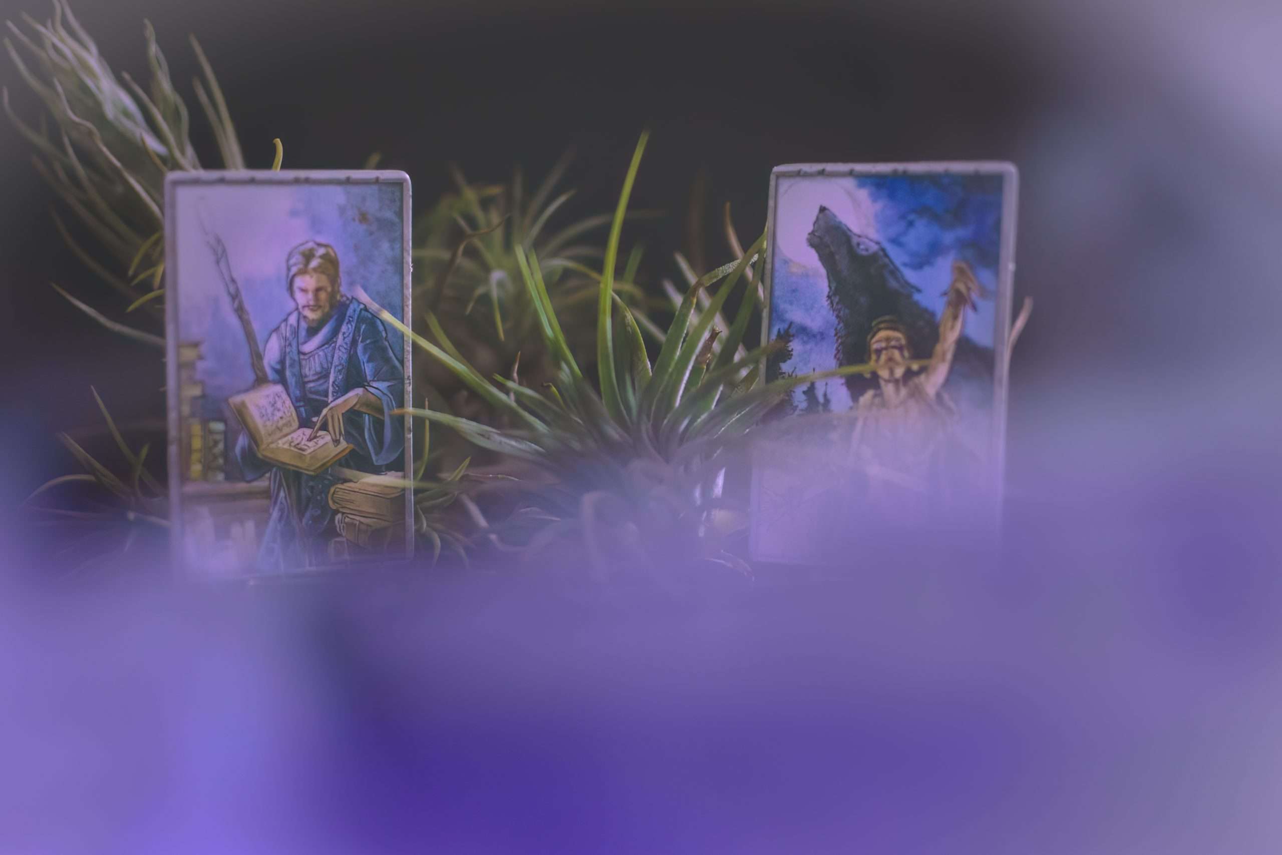 Arkendom: board game photography Daria Piccotti