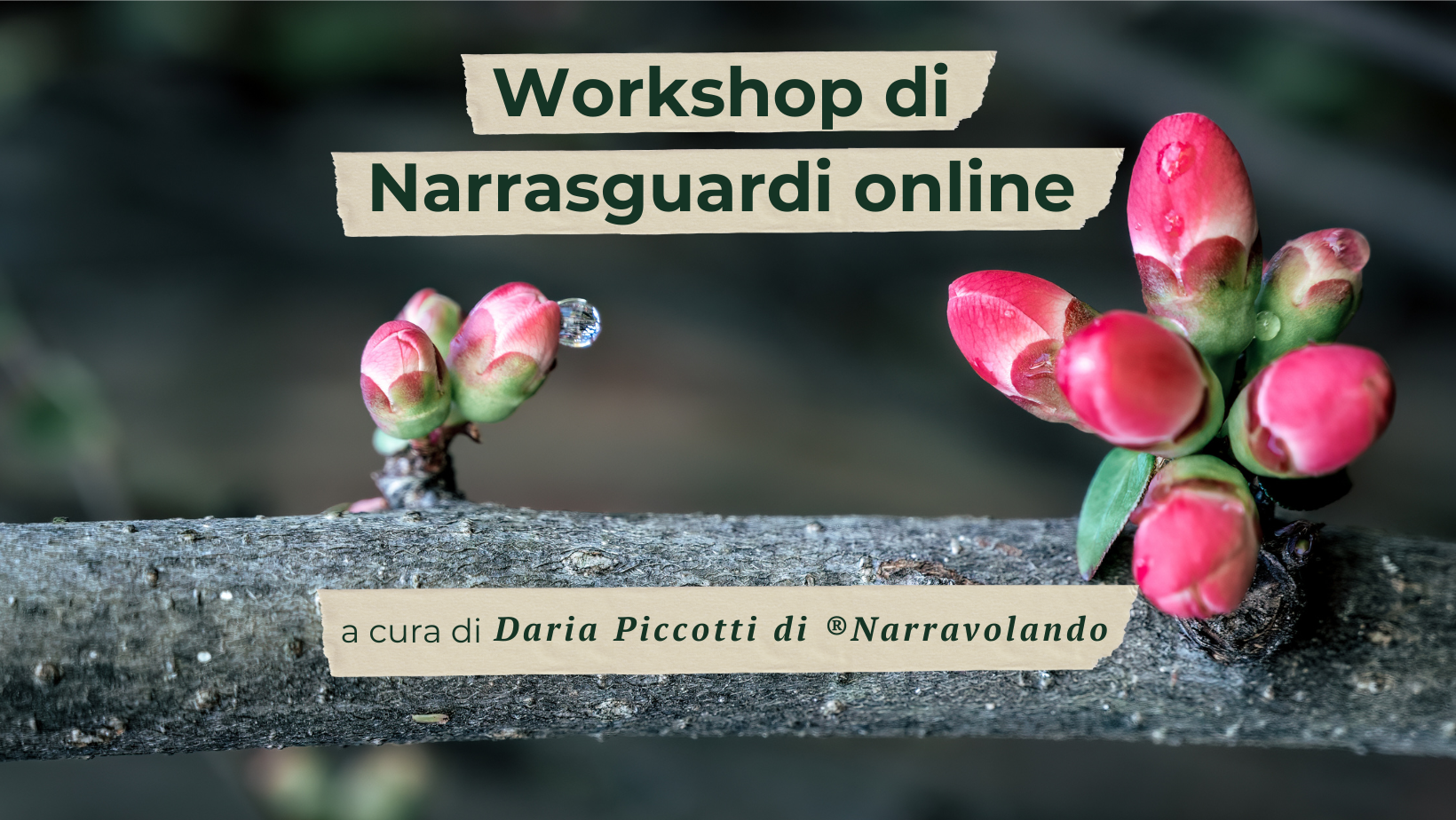 Abbonamenti Creativi: Percorsi di Narrasguardi
