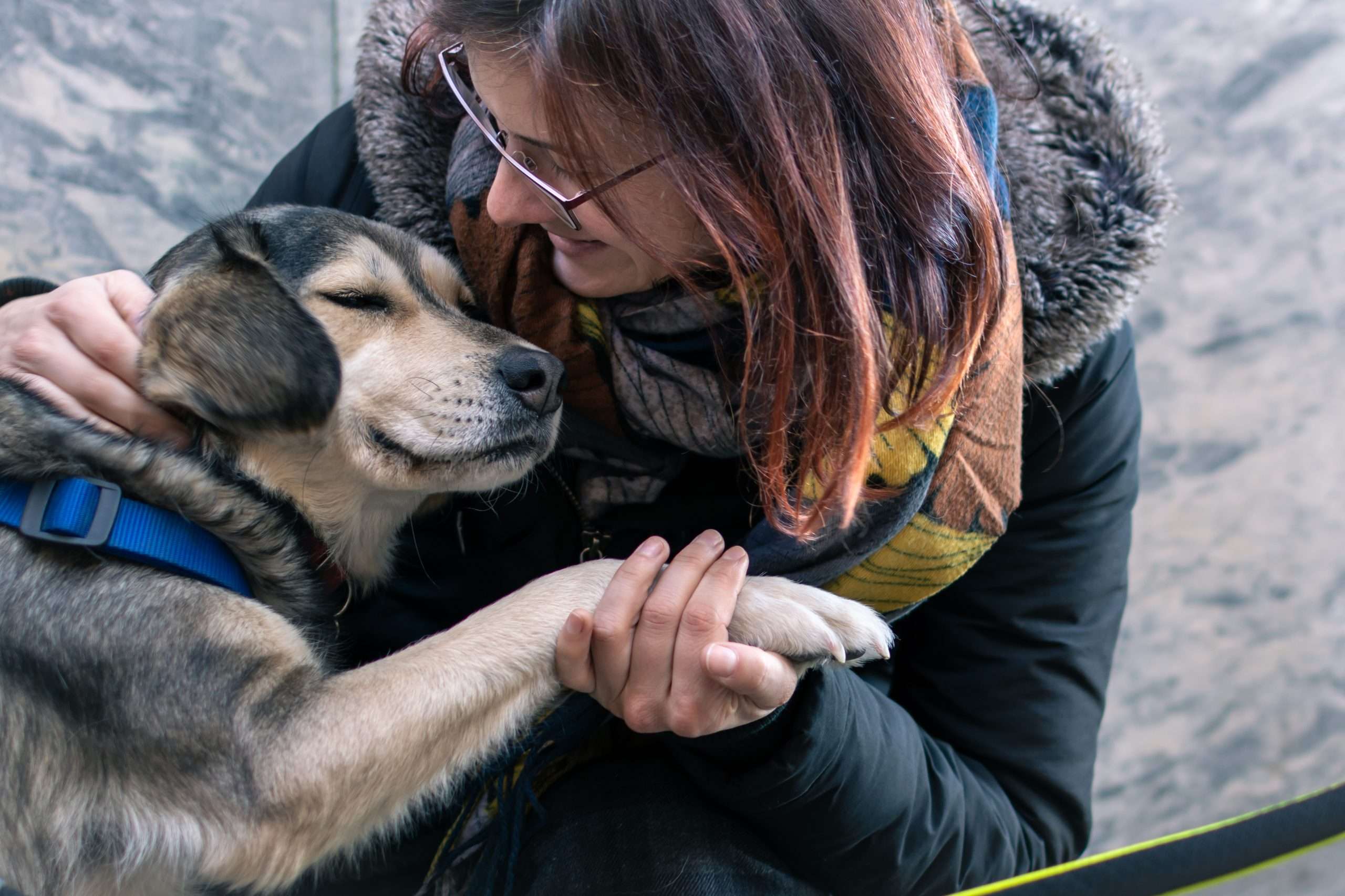 Servizio fotografico cani e gatti ©Daria Piccotti