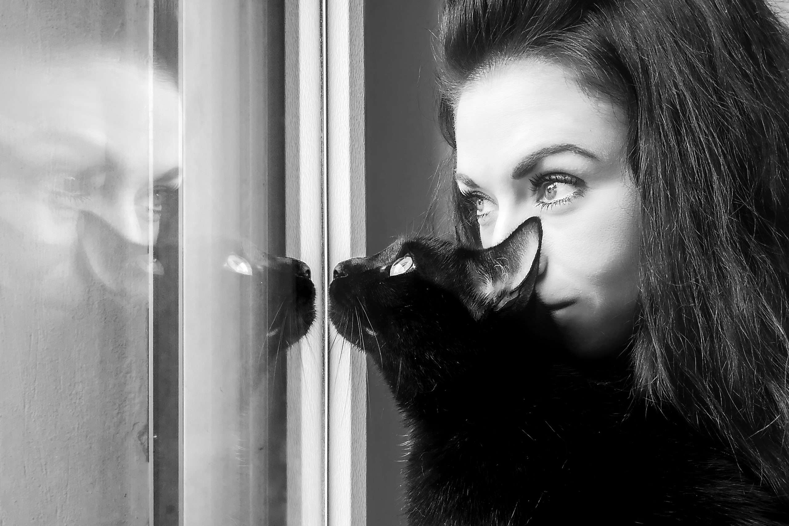 Servizio fotografico cani e gatti ©Daria Piccotti