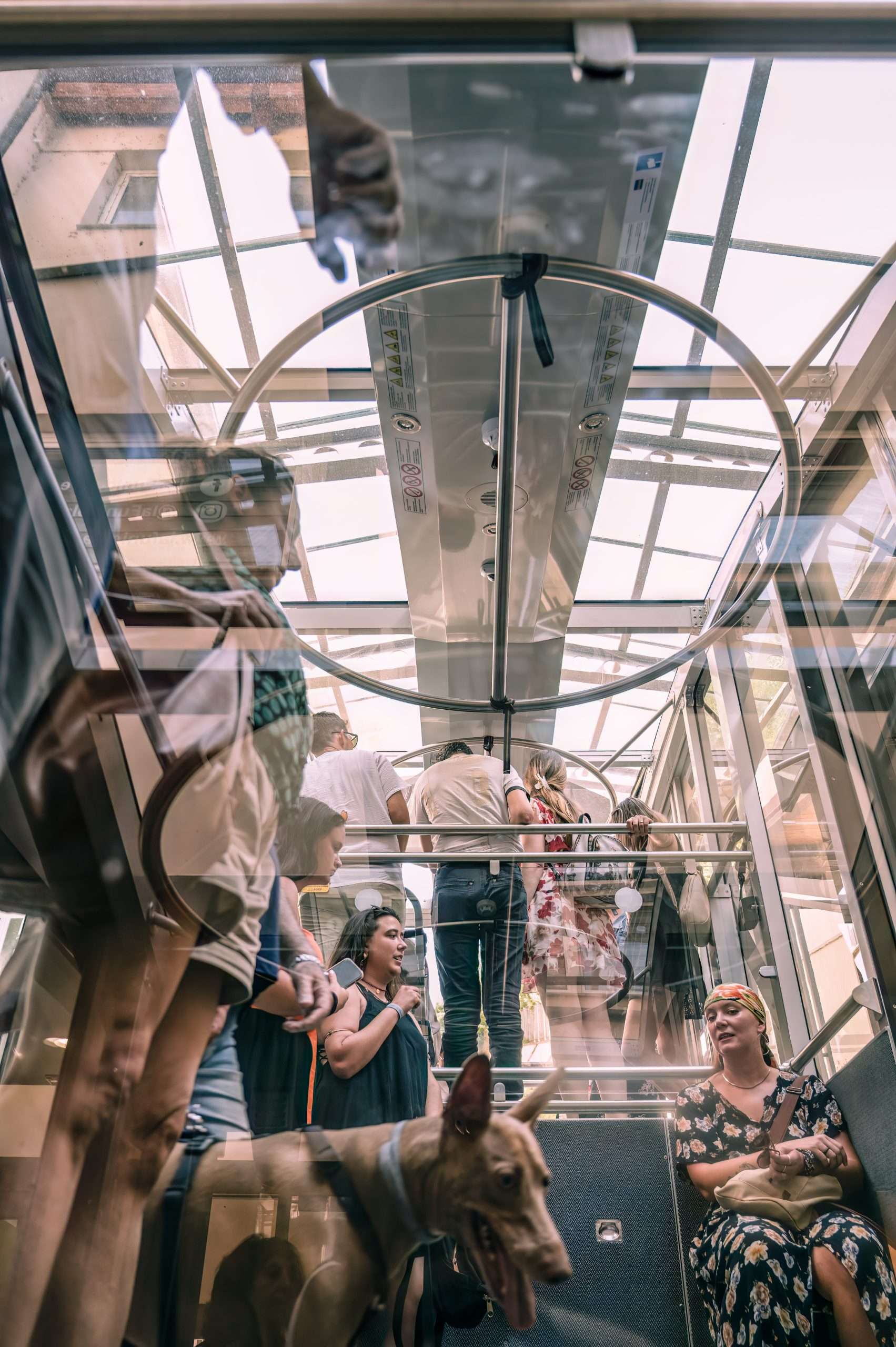 Composizione fotografica: l'angolazione dal basso_Daria Piccotti
