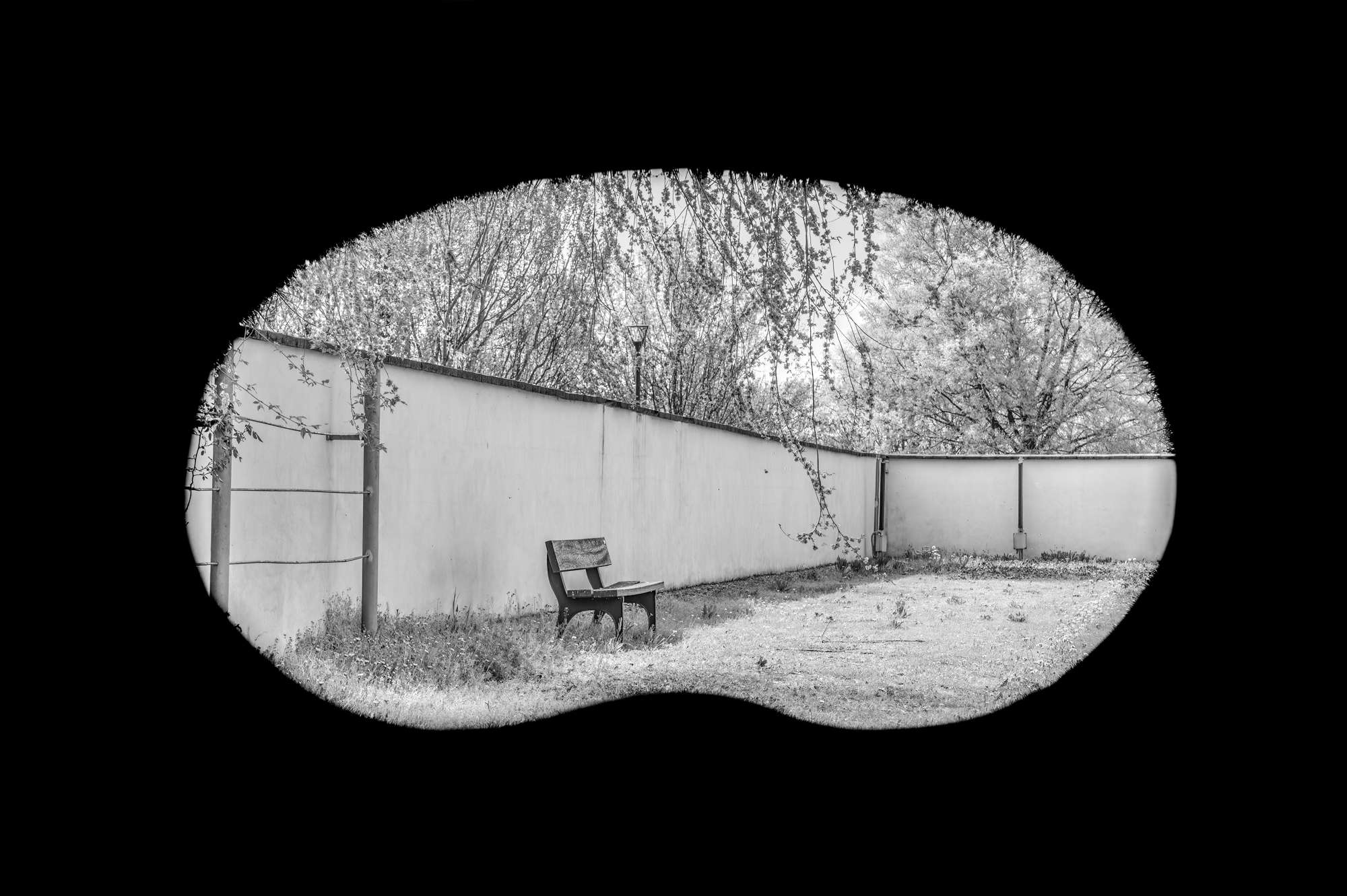 Composizione fotografica: la cornice