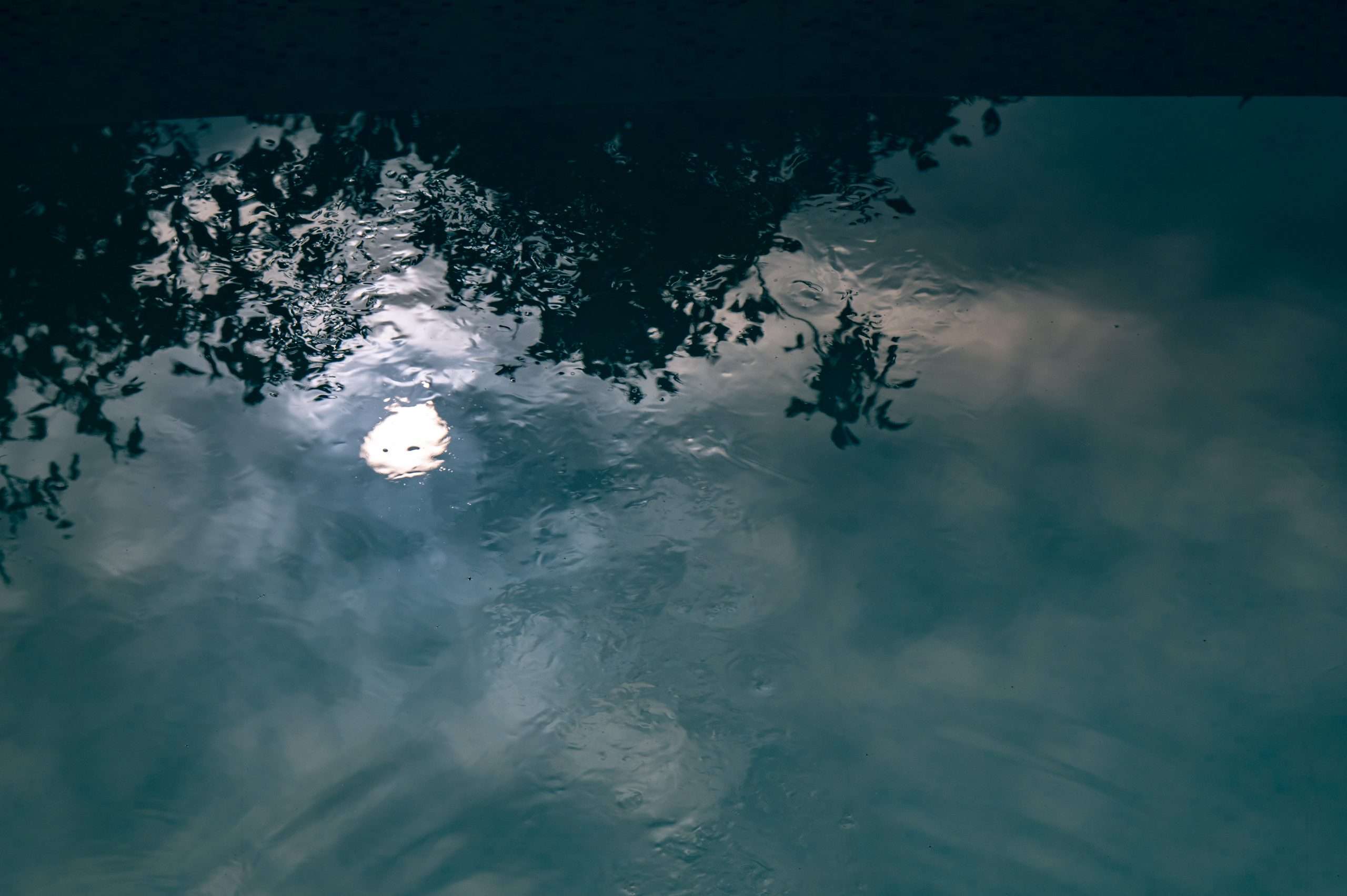 L'acqua come tela: l'Impressionismo fotografico composizione fotografica Daria Piccotti