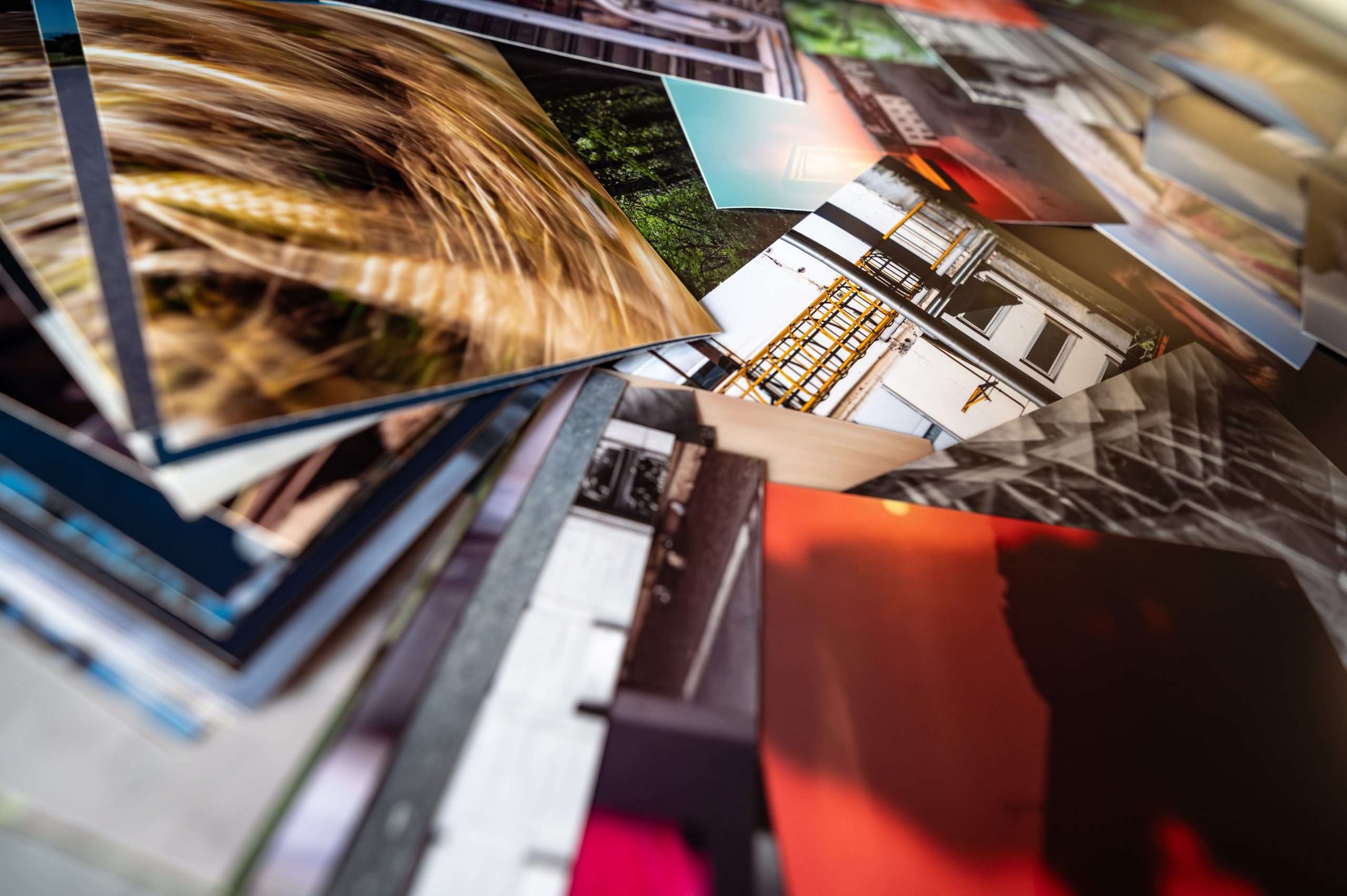 Editing fotografico: tornare sulle immagini Daria Piccotti