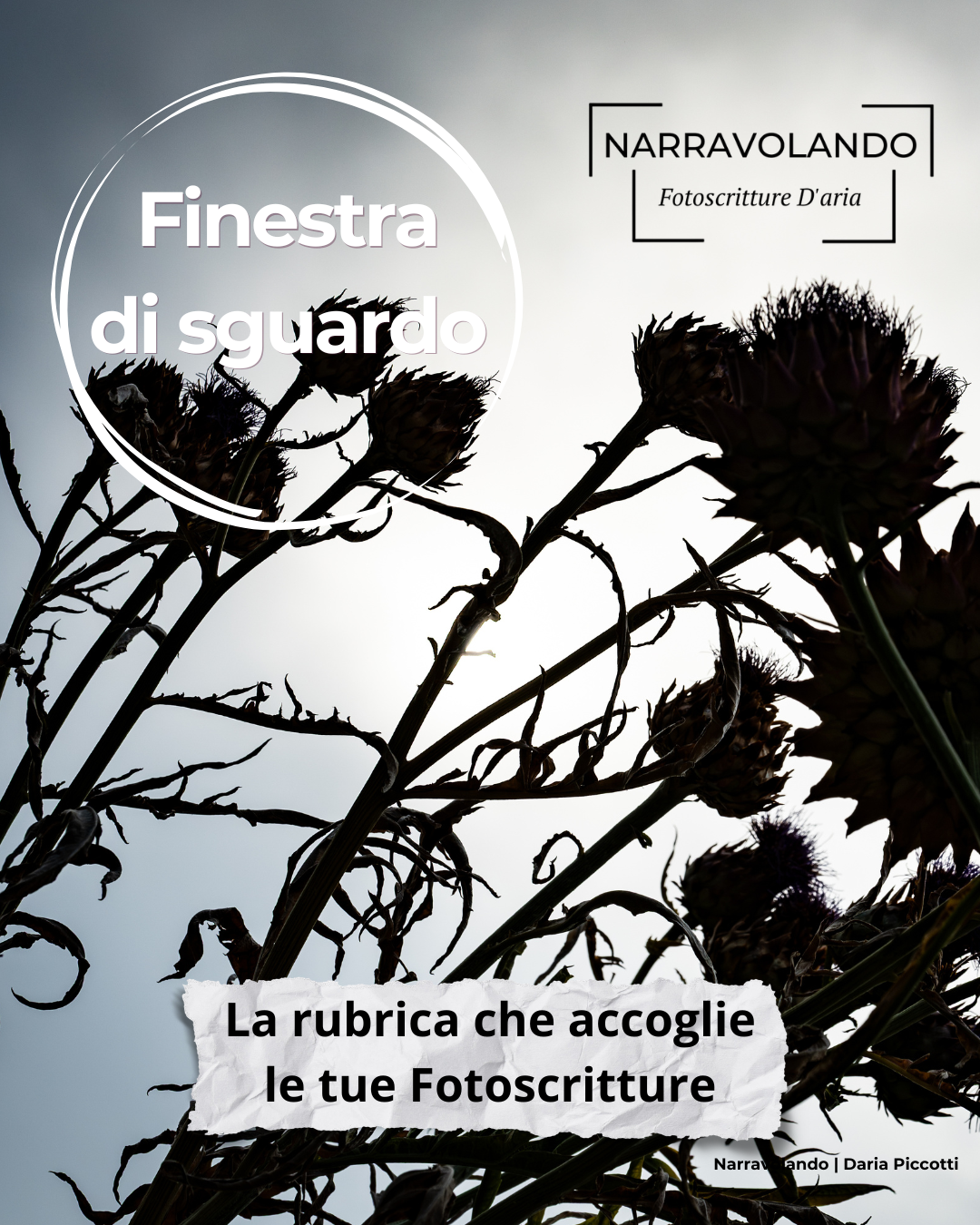 Finestra di sguardo: i Narrasguardi in poesia di Teresa